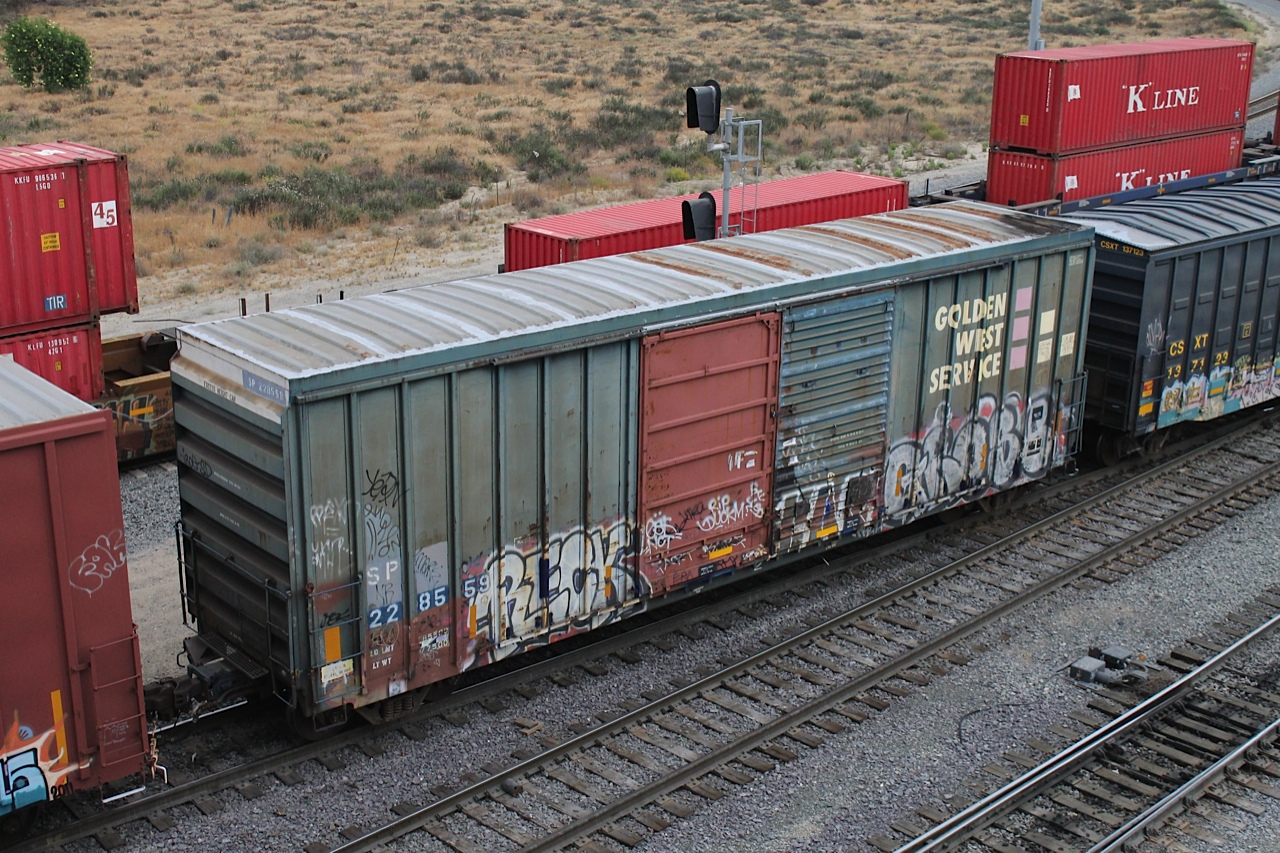 SP 228559